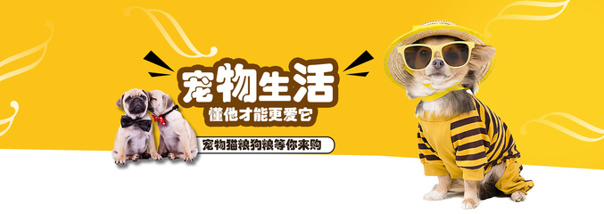 澳门最精准免费资料大全旅游景点